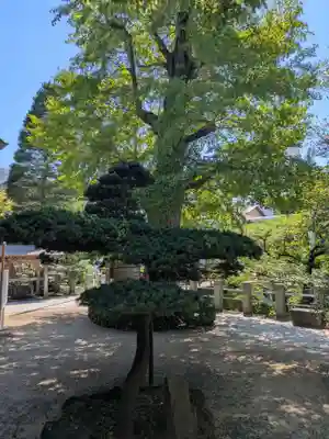 松戸神社(千葉県)