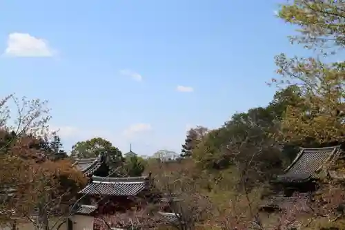 東大寺 指図堂の景色