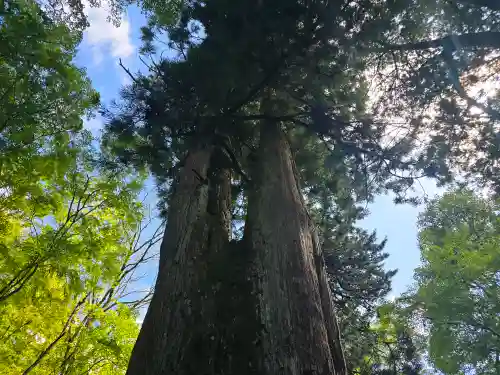 談山神社(奈良県)