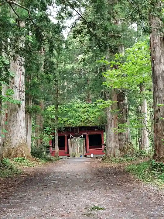 戸隠神社奥社の{uncategorized: "未分類", other: "その他", undefined: "問題あり", building: "その他建物", grave: "お墓", sacred_gate: "鳥居", guardian: "狛犬", statue: "像", buddha: "仏像", history: "歴史", nature: "自然", garden: "庭園", animal: "動物", pagoda: "塔", temizu: "手水舎", mountain_gate: "山門・神門", sanctuary: "本殿・本堂", subordinate: "末社・摂社", art: "芸術", scenery: "景色", jizo: "地蔵", ema: "絵馬", goshuin: "御朱印", omikuji: "おみくじ", items: "授与品その他", amulet: "お守り", goshuincho: "御朱印帳", eats: "食事", festival: "お祭り", votive_dance: "神楽", shichigosan: "七五三参", wedding: "結婚式", experience: "体験その他", initially: "初詣", around: "周辺", anti_infection: "感染症対策"}