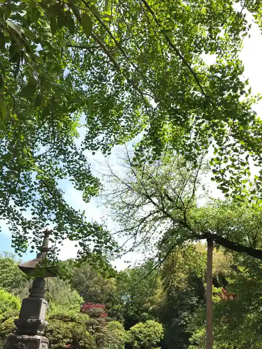 宝珠山 観泉寺の庭園