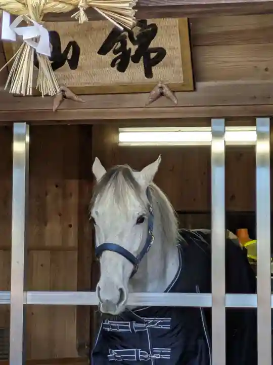 多度大社(三重県)
