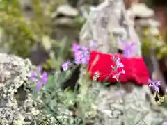 高榮寺の自然