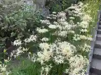 横浜 西方寺(神奈川県)