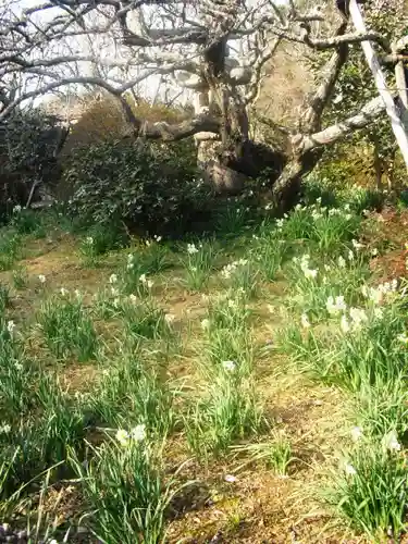 瑞泉寺の庭園