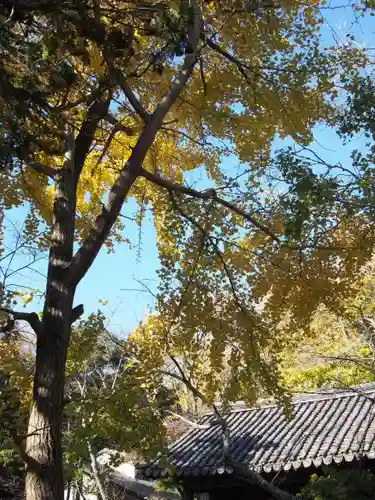 高徳院のその他建物