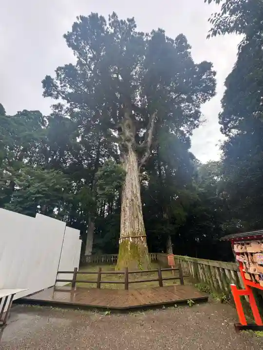 霧島神宮(鹿児島県)