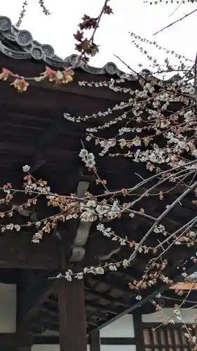 東北院(京都府)