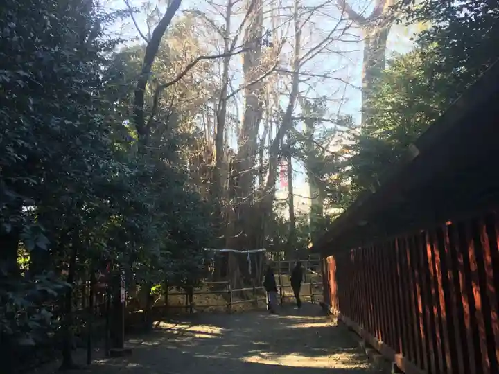 大國魂神社の自然