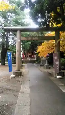 青山熊野神社の鳥居