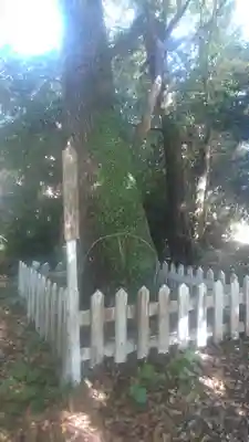 古要神社の自然