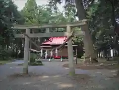 鷲宮神社の鳥居