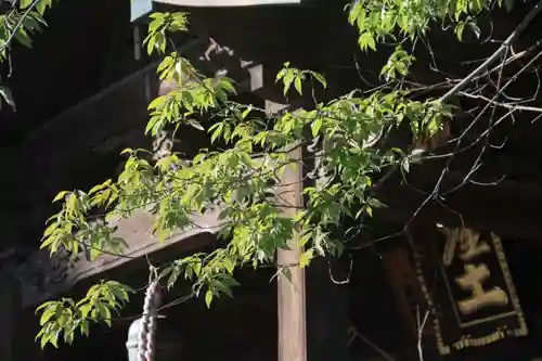 阿邪訶根神社の本殿・本堂