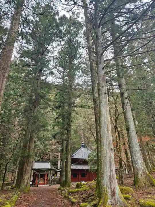 輪王寺(栃木県)