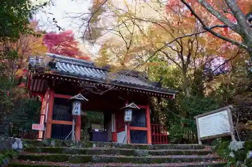 金蔵寺の山門・神門