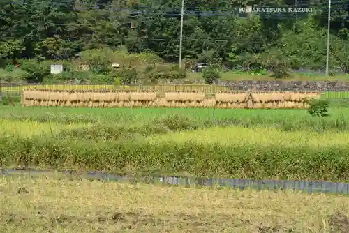 熊野神社(神奈川県)