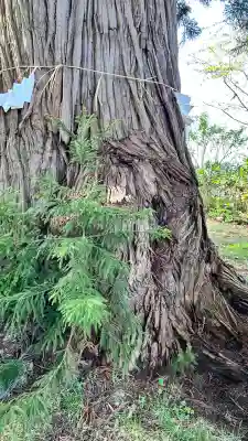 荒神社(北海道)