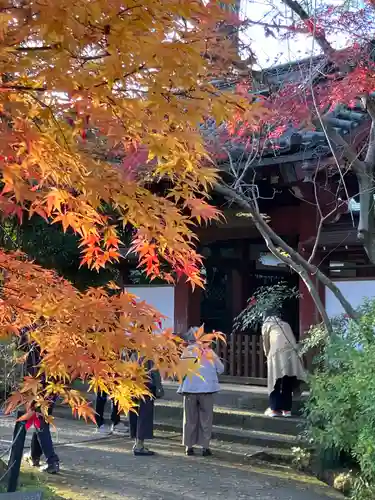 本土寺(千葉県)