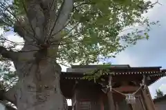 二階堂神社の本殿