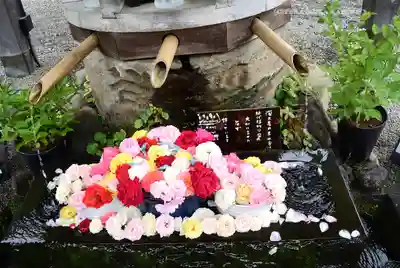 深大寺(東京都)