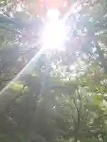 足高神社の自然