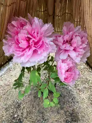 當麻寺 奥院(奈良県)