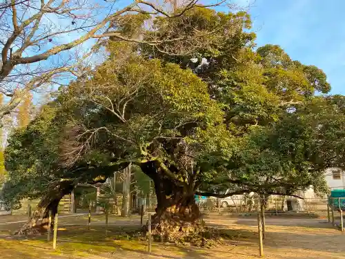 滑河山龍正院の自然