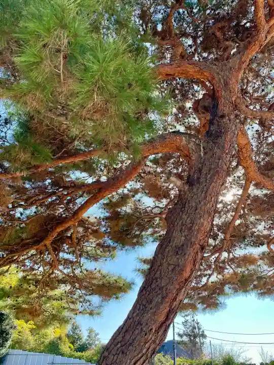 西勝寺の{uncategorized: "未分類", other: "その他", undefined: "問題あり", building: "その他建物", grave: "お墓", sacred_gate: "鳥居", guardian: "狛犬", statue: "像", buddha: "仏像", history: "歴史", nature: "自然", garden: "庭園", animal: "動物", pagoda: "塔", temizu: "手水舎", mountain_gate: "山門・神門", sanctuary: "本殿・本堂", subordinate: "末社・摂社", art: "芸術", scenery: "景色", jizo: "地蔵", ema: "絵馬", goshuin: "御朱印", omikuji: "おみくじ", items: "授与品その他", amulet: "お守り", goshuincho: "御朱印帳", eats: "食事", festival: "お祭り", votive_dance: "神楽", shichigosan: "七五三参", wedding: "結婚式", experience: "体験その他", initially: "初詣", around: "周辺", anti_infection: "感染症対策"}