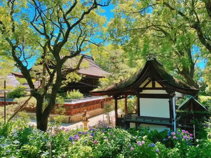 藤森神社の{uncategorized: "未分類", other: "その他", undefined: "問題あり", building: "その他建物", grave: "お墓", sacred_gate: "鳥居", guardian: "狛犬", statue: "像", buddha: "仏像", history: "歴史", nature: "自然", garden: "庭園", animal: "動物", pagoda: "塔", temizu: "手水舎", mountain_gate: "山門・神門", sanctuary: "本殿・本堂", subordinate: "末社・摂社", art: "芸術", scenery: "景色", jizo: "地蔵", ema: "絵馬", goshuin: "御朱印", omikuji: "おみくじ", items: "授与品その他", amulet: "お守り", goshuincho: "御朱印帳", eats: "食事", festival: "お祭り", votive_dance: "神楽", shichigosan: "七五三参", wedding: "結婚式", experience: "体験その他", initially: "初詣", around: "周辺", anti_infection: "感染症対策"}