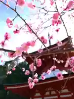 慈尊院の{uncategorized: "未分類", other: "その他", undefined: "問題あり", building: "その他建物", grave: "お墓", sacred_gate: "鳥居", guardian: "狛犬", statue: "像", buddha: "仏像", history: "歴史", nature: "自然", garden: "庭園", animal: "動物", pagoda: "塔", temizu: "手水舎", mountain_gate: "山門・神門", sanctuary: "本殿・本堂", subordinate: "末社・摂社", art: "芸術", scenery: "景色", jizo: "地蔵", ema: "絵馬", goshuin: "御朱印", omikuji: "おみくじ", items: "授与品その他", amulet: "お守り", goshuincho: "御朱印帳", eats: "食事", festival: "お祭り", votive_dance: "神楽", shichigosan: "七五三参", wedding: "結婚式", experience: "体験その他", initially: "初詣", around: "周辺", anti_infection: "感染症対策"}