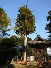 松林寺の建物その他