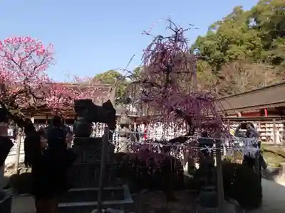 太宰府天満宮のその他建物