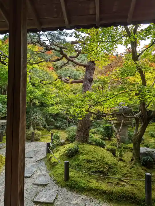 圓光寺(京都府)