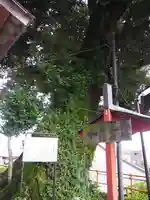 師岡神社(東京都)