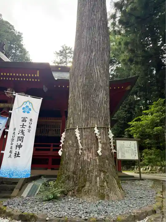 富士山東口本宮 冨士浅間神社(静岡県)