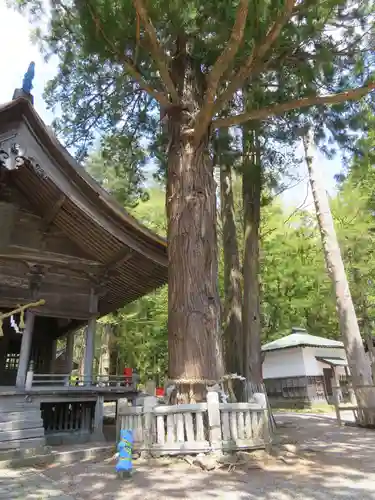 矢彦神社の自然