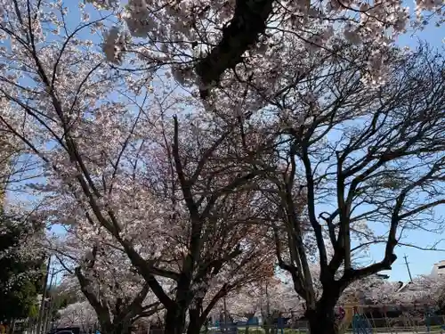 山口八幡社の自然