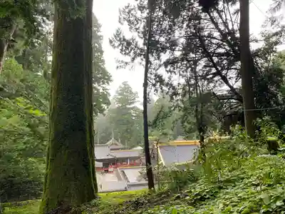 日光東照宮奥宮拝殿(栃木県)