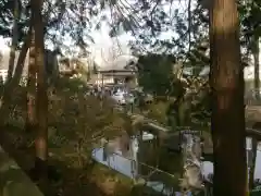 前玉神社の庭園