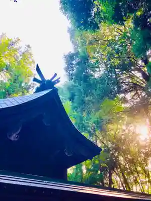 鴨鳥五所神社(茨城県)