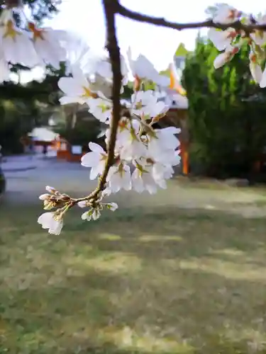 熊野速玉大社の自然