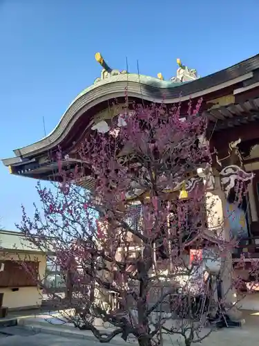 諏訪神社(東京都)