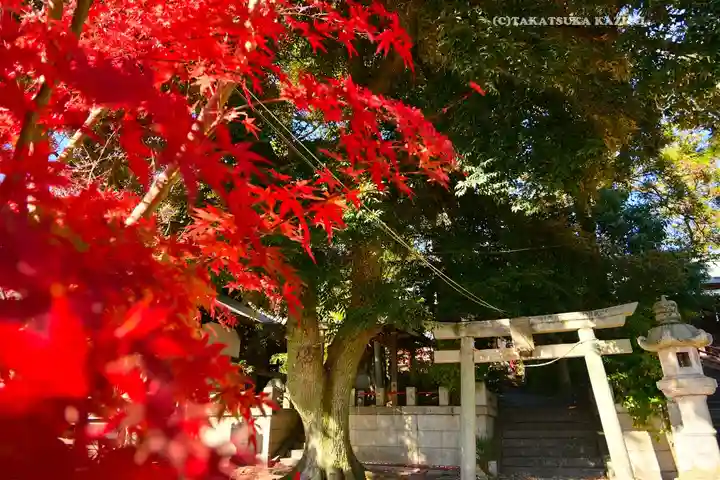 美和神社(群馬県)