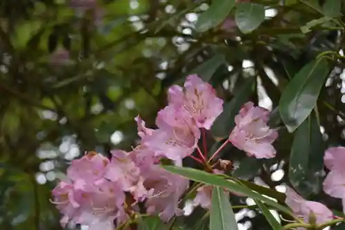 比叡山延暦寺の周辺