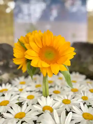 伊達神社(北海道)