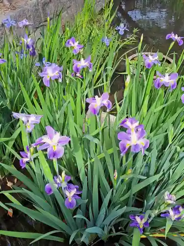 津島神社(愛知県)