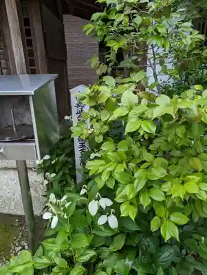 法輪寺(京都府)