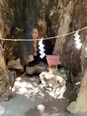 來宮神社の建物その他