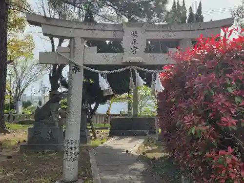 住吉神社の末社・摂社
