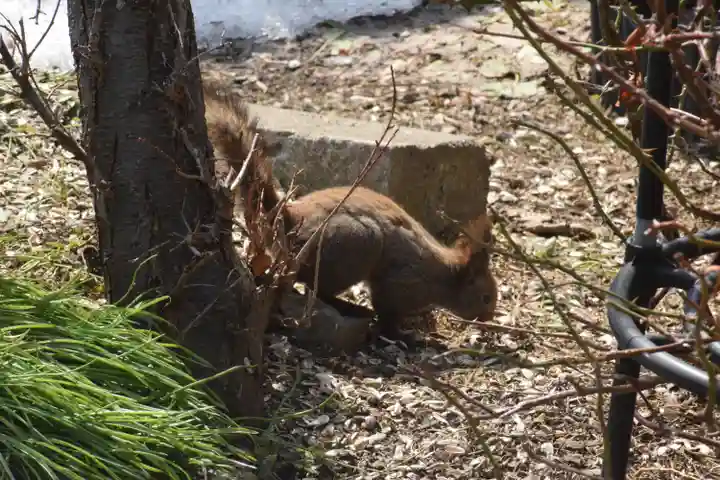 宝光寺(北海道)